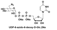 UDP-6-B-6-Ó-D-Ƕc}UDP-6-azido-6-deoxy-D-Glc.2Na/glucose