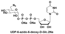 UDP-6-azido-6-deoxy-D-Glucosedisodiumsaltp-6-B-6-Ó-D-