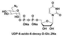 UDP-6-N3-GlucoseUridine5'-(trihydrogendiphosphate)P'-(6-azido-6-deoxy-alpha-D-glucopyranosyl)ester