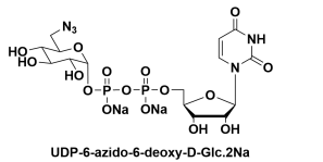 5'-() P'-(6-B-6-Ó-ALPHA-D-ǻ)UDP-6-N3-Glucose
