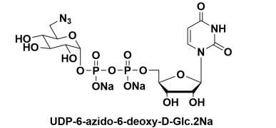 CAS:868141-12-2UDP-6-N3-GalactoseUDP-6-B-6-Ó-D-Ƕc} 