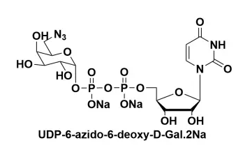 UDP-6-B-6-Ó-D-Ƕc}UDP-6-azido-6-deoxy-D-Galactose disodium salt