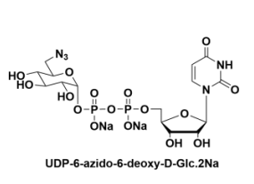 UDP-6-N3-GlcNAcUDP-N-BǰBն-N-ǰ