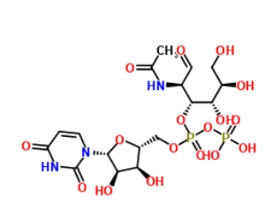 UDP-GALNACBN-ǰ7277-98-7