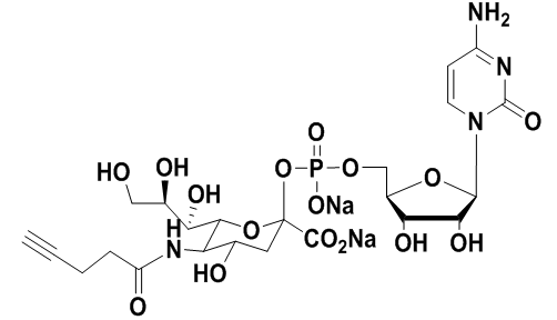 ȲCMP-ҺCMP-C5-alkynyl-Sialic Acid 