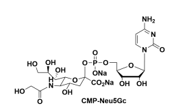 CMP-N-glycolylneuraminic acid-5'--N-u(jng)c} 