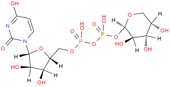 UDP-ǣUDP-b-L-arabinopyranose disodium saltUDP--L-Ara.2Na