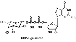 (bio)ӛնGDP-L-ǣGDP-L-galactoseCAS:16689-00-2