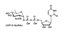 UDP-D-QuiNAcUDP-N-acetyl-d-quinovosamineUDP-N--d-