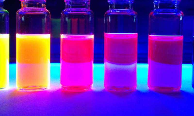 FITC/CY3/CY5/CY7ɹӛģ(model peptides)/MAP/(Arg)7
