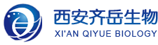 MOFdˎ(UiO-PDT) DOXZIF-90{ ̹bd
