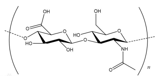Ce6-Hyaluronicacid ͸|-Ce6