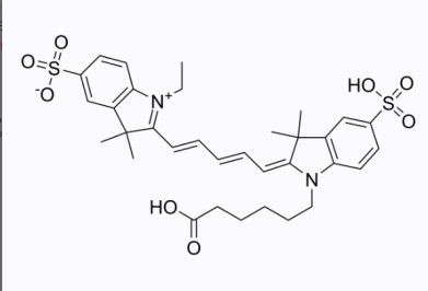 CY5-PEG-ϲA