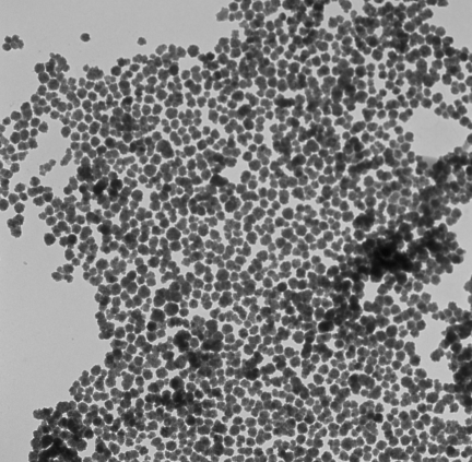 USPIO 혴F{w Fe3O4 Magnetic nanoparticles ƺϳ