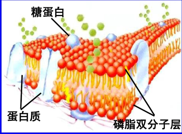 QQ؈D20230407160742.png