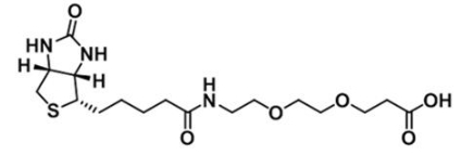 CAS:1365655-89-5ضҶ(+)-Biotin-PEG2-Acid