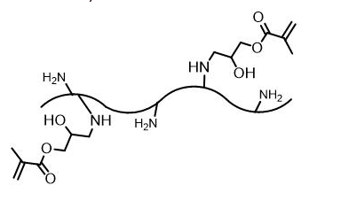 Silk Fibroin MethacryloylSilMA