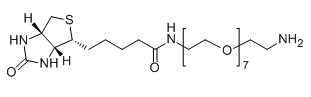 Biotin-PEG7-NH21334172-76-7-߾Ҷ-
