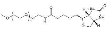 mPEG-BiotinҶؑ(yng)t(y)W(xu)о