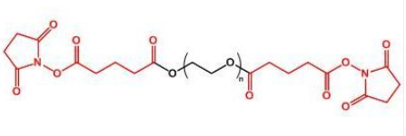 SG-PEG-SGҶSuccinimidyl Glutarate ester-PEG-Succinimidyl Glutarate ester