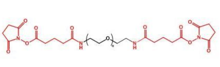 GAS-PEG-GASҶGlutaramide Succinimidyl ester-PEG-Glutaramide