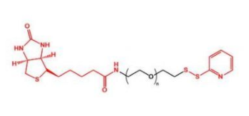 Biotin-PEG-OPSSؾҶOPSS-PEG-Biotin