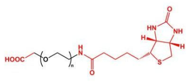 COOH-PEG-BiotinȻҶأ Biotin-PEG-COOH