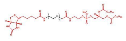 Biotin-PEG-DSPEؾҶ֬DSPE-PEG-Biotin