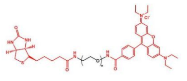 Biotin-PEG-RhodamineؾҶ_RB-PEG-Biotin