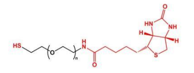 SH-PEG-BiotinҶBiotin-PEG-SH