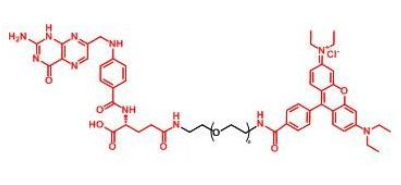 RB-PEG-FA_Ҷ~Folate-PEG-RB