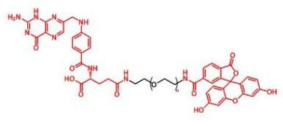 FITC-PEG-FAɹؾҶ~Folate-PEG-FITC