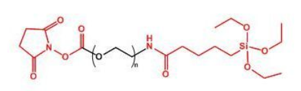 NHS-PEG-SilaneҶSilane-PEG-NHS