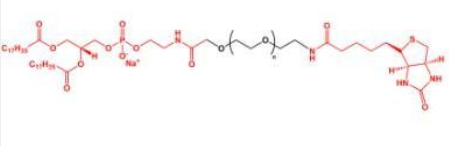 DSPE-PEG-Biotin֬ҶؾҶ֬