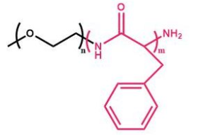mPEG-b-PPHEҶ۱ mPEG-Poly Phenylalanine