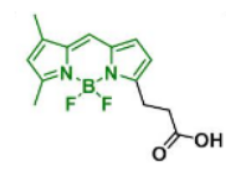 BDP FL acid165599-63-3