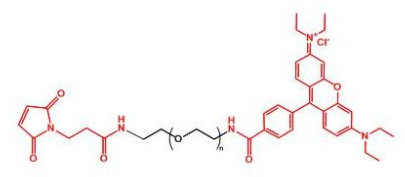 Rhodamine-PEG-MAL_ҶRMAL-PEG-Rhodamine