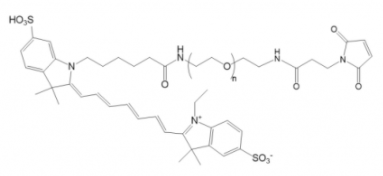 Cy7-PEG-MalCy7-Ҷ-R(li)Cy7-PEG-Maleimide