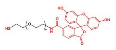 FITC-PEG-SHɹؾҶ Thiol-PEG-FITC