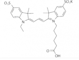 diSulfo-Cy3 Carboxylic Acid(Ethyl)/ˮCY3 COOH146368-13-0ˮԻCy3-Ȼ