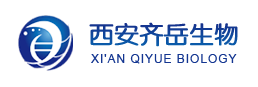 PNIPAAm-b-PCL۱ϩ嶡-b-ۼ(ni)POLY(N-ISOPROPYL ACRYLAMIDE)-b-Polycaprolactone