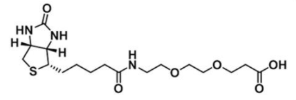 Biotin-PEG2-Acid1365655-89-5-Ҷ-Ȼ