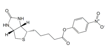 Biotin-ONP (+)--4-33755-53-2