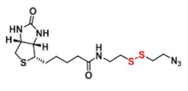 Biotin-SS-azide--B1620523-64-9