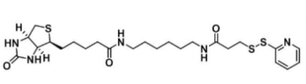 Biotin-HPDP129179-83-55-ɹ-
