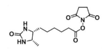 Desthiobiotin NHS Ester80750-24-9Ó-