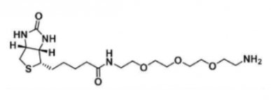 Biotin-PEG3-amine359860-27-8-Ҷ-