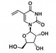 5-vinyl-uridine55520-64-45-vinyl-uridine 5-ϩ