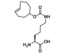 N-(4E)-TCO-L-lysine1380349-88-1N-(4E)h(hun)ϩ-ه
