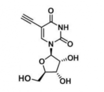 5-Ethynyl-uridine69075-42-95-Ȳ